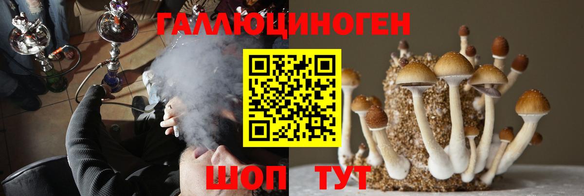 Псилоцибиновые грибы прущие грибы Жуковский